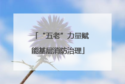 “五老”力量赋能基层消防治理